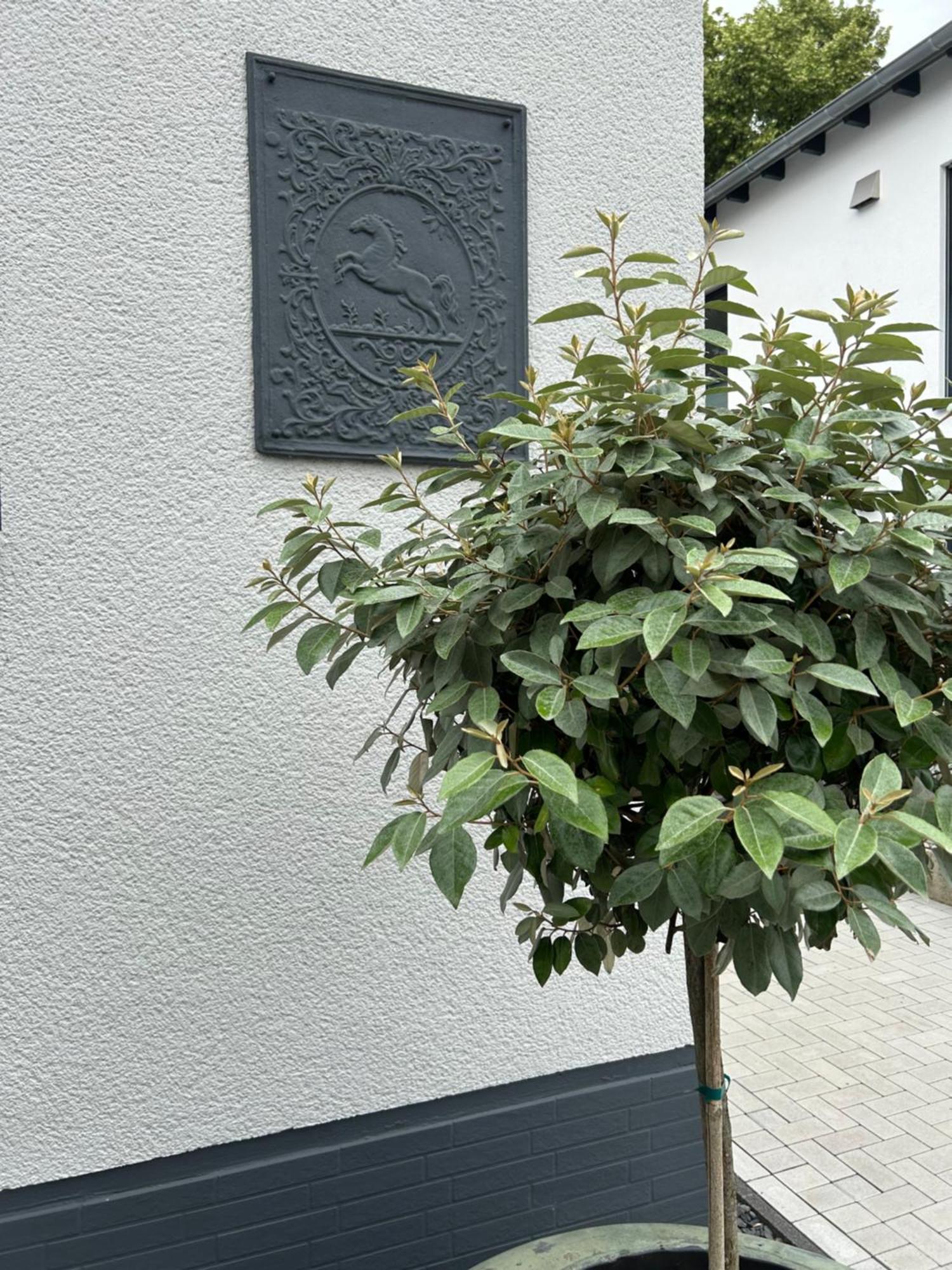 Premium Im Herzen Der Kurstadt Apartment Bad Neuenahr-Ahrweiler